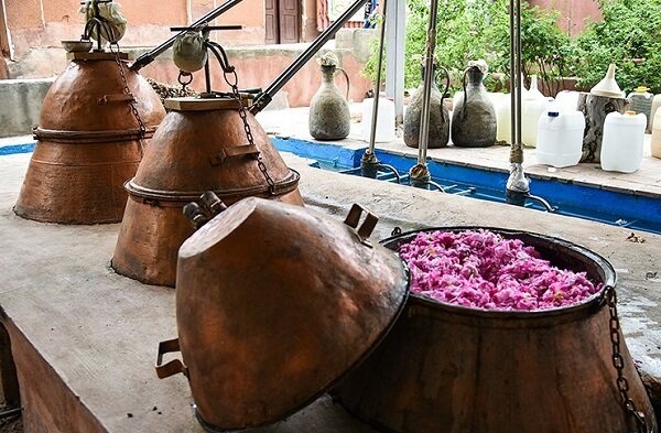 گلاب گیری قمصر